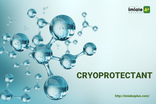 Cryoprotectant - là gì