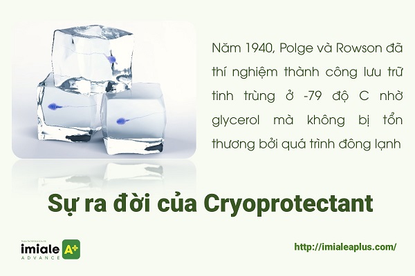 Cryoprotectant - sự ra đời