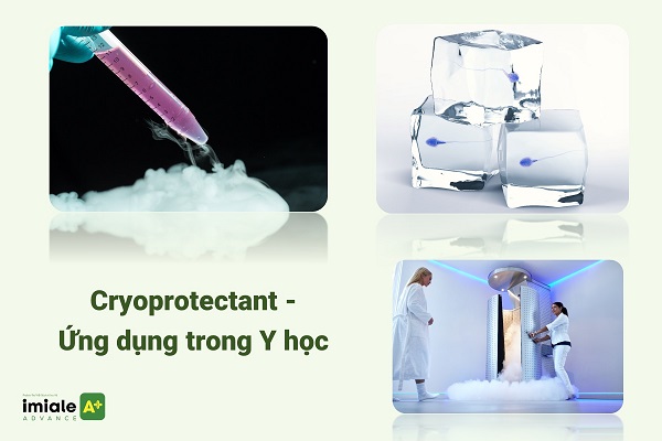 Cryoprotectant - y học