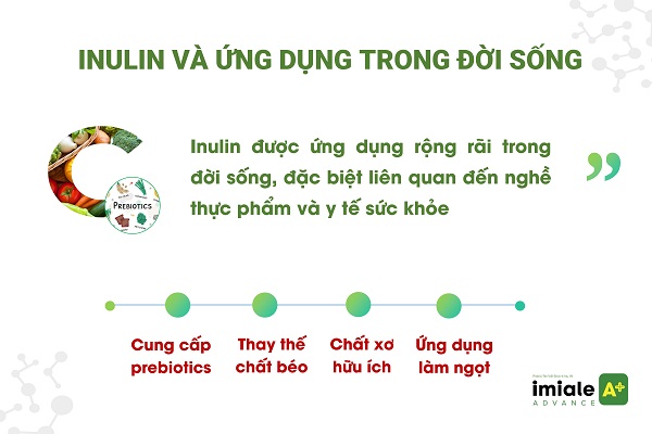 Inulin - ứng dụng