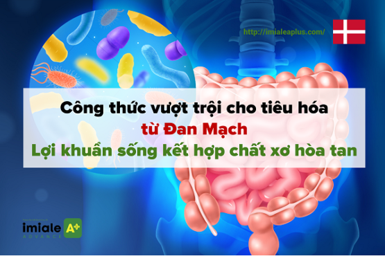 Lợi khuẩn sống kết hợp chất xơ hòa tan - Công thức vượt trội cho tiêu hóa từ Đan Mạch