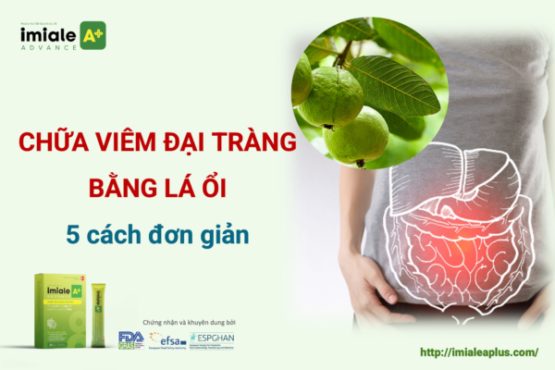 chữa viêm đại tràng bằng lá ổi