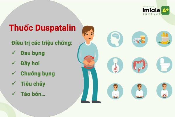 Công dụng thuốc Duspatalin 