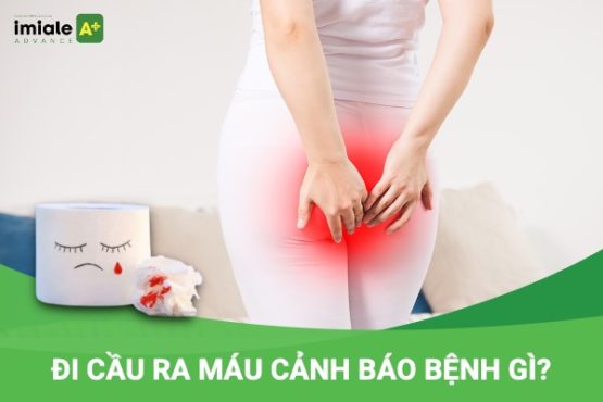 Đi cầu ra máu cảnh báo bệnh gì?