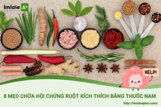 mẹo chữa hội chứng ruột kích thích bằng thuốc nam