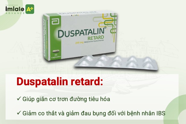 Hội chứng ruột kích thích nên uống thuốc gì Duspatalin
