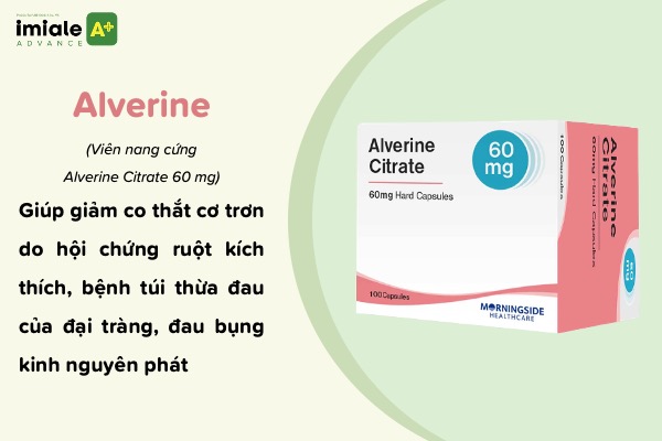 Điều trị hội chứng ruột kích thích - Phác đồ chuẩn chuyên gia Alverine (Viên nang cứng Alverine Citrate 60 mg)