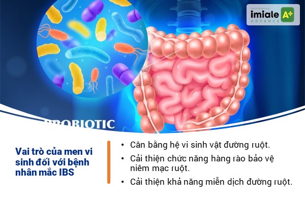 Phác đồ điều trị IBS - Bổ sung lợi khuẩn