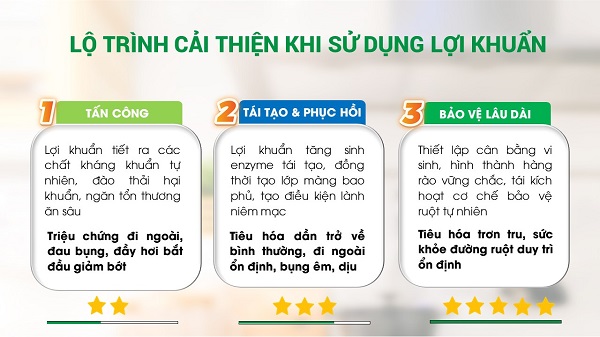 Lộ trình cải thiện khi dùng lợi khuẩn
